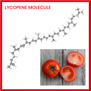 Lycopene molecule_ Sibelius LactoMato